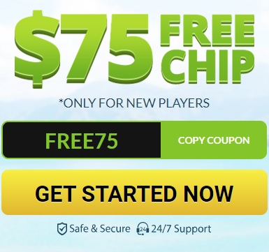 75 Free Chip Raging Bull